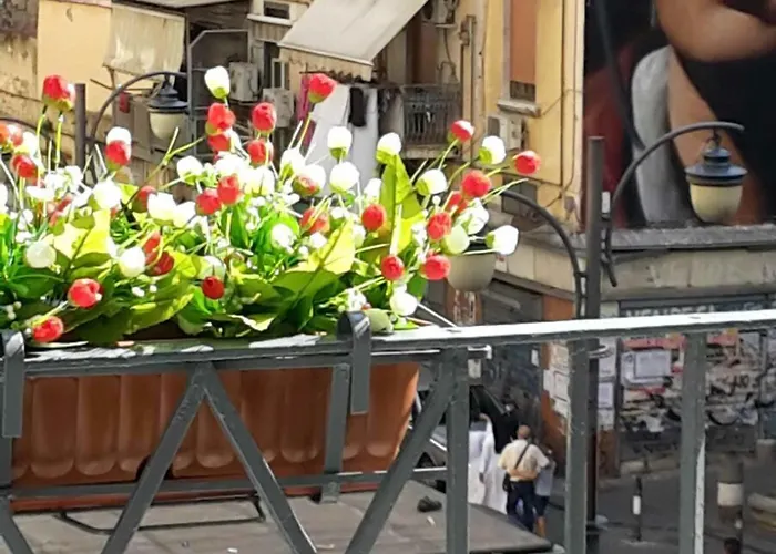 Duomo Гостевой дом 4*